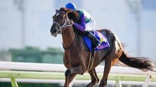 【大井・JBCレディスクラシック結果】アイコンテーラーが4馬身差VでJpnI初制覇！