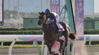 【JBCレディスクラシック】アイコンテーラーが4馬身差圧勝…G1初制覇