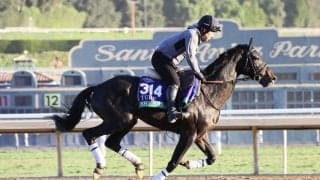 【ブリーダーズカップ】日本馬の近況…シャフリヤール 藤原英師「前進気勢もあり良い状態」