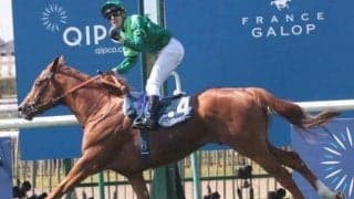 藤田晋オーナー×矢作厩舎の3億円馬デビュー 全兄は凱旋門賞馬ソットサス