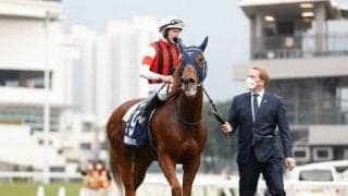 ウインマリリンはダートコースで調整 手塚調教師「あとはレースまで順調に」米BC出走予定の各陣営がコメント