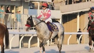 【JBCスプリント】リュウノユキナは3着…ダンシングプリンス落馬でカラ馬の影響も