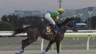 【JBCクラシック】菅原明「馬にとって良い経験になれば」ウィルソンテソーロは5着