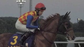 【JBCクラシック】松山「良いレースはしてくれた」テーオーケインズは差し返されての3着