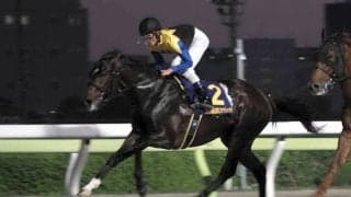 【JBCクラシック】森泰斗「差し返すところ見せてくれた」ノットゥルノは2着