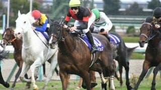 【マイルCS想定馬・騎手】セリフォス、ナミュールなど15頭