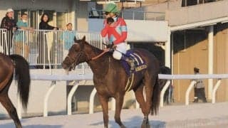 【JBCスプリント】御神本「脚を伸ばし切れなかった」…レース後ジョッキーコメント