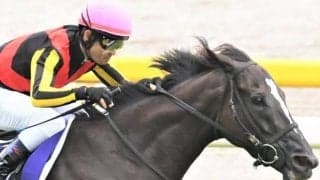 日本最強マイラーが世界制圧へ BCマイルでGI・4勝目なるか