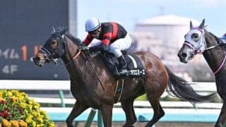 【福島記念想定馬・騎手】ホウオウエミーズ、シルトホルンなど19頭