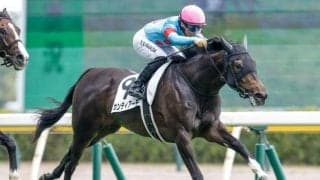 【デイリー杯2歳S想定馬・騎手】カンティアーモ、ダノンキラウェアなど11頭