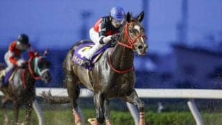 【武蔵野S想定馬・騎手】ドライスタウト、ステラヴェローチェなど17頭