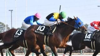 アルゼンチン共和国杯で注目はハーツクライ産駒　出走２頭の期待度を血統でチェック