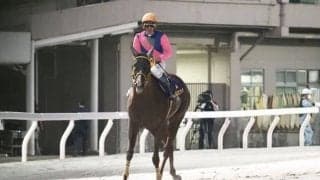 【JBCクラシック】浜中「本来の走りではなかった」レース後ジョッキーコメント