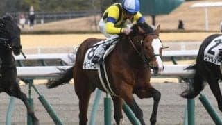 【AR共和国杯予想】非対象馬は「3％」の勝率！ 古馬の長距離重賞で適性を見抜く手段