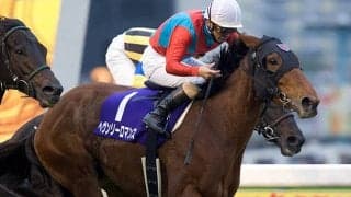 きょうだいに活躍馬ズラリ 母ヘヴンリーロマンスの良血牝馬がデビュー