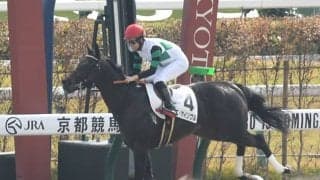 【京都6R新馬戦結果】ホッコータルマエ産駒のエイカイソウルがデビュー戦を圧勝！