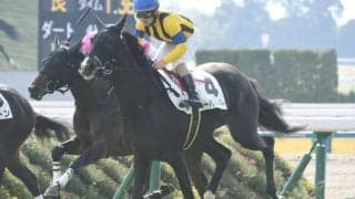 【京都5R新馬戦結果】キタサンブラック産駒のキーパフォーマーが差し切りV！