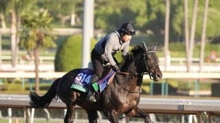 日本馬が１頭いるかどうか→大挙して遠征　なぜ北米のブリーダーズカップに挑戦する馬が増えたのか