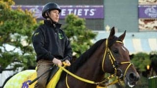 ブリーダーズカップに日本から計8頭参戦 “アメリカ競馬の祭典”で旋風巻き起こすか