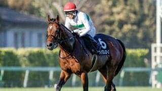 【みやこS予想】波乱傾向が強まる難解な一戦！ 前走初角での位置取りが勝負の分かれ目