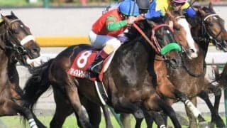 東京芝は鞍上次第!? 絶好調・横山武史騎手のマイネルウィルトスが波乱呼ぶ