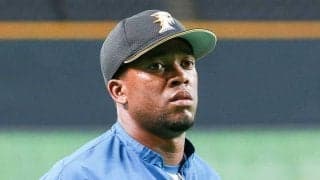 日本ハム135日で退団も…33歳が掴んだ成功　驚異の打率.364、紆余曲折の元助っ人