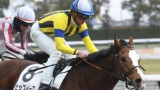 【AI予想・AR共和国杯】本命はGI級のポテンシャルを秘める実力馬！ 持ち味活かせる東京で好勝負必至