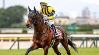 【今日の注目ポイント】アルゼンチン共和国杯とみやこS 早朝の米BCに日本馬8頭が挑戦