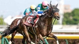 【米・BCフィリー＆メアスプリント結果】グッドナイトオリーブが連覇！ 日本のメイケイエールは9着