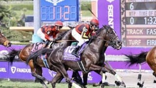 【BCマイル】戸崎圭騎乗、ソングラインは5着、ウインカーネリアンは11着敗退