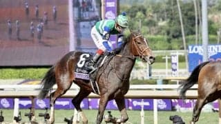 【BCフィリー&メアスプリント】池添謙一騎乗、メイケイエールは最下位…グッドナイトオリーブがV