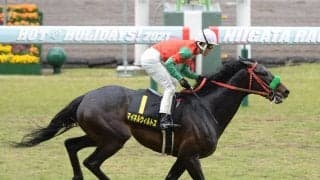 アルゼンチン共和国杯は「荒れる」可能性　穴党記者は距離合う伏兵２頭の大駆けに期待