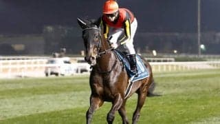 【米・BCターフ結果】ディープインパクト産駒オーギュストロダンが優勝！ シャフリヤールは3着