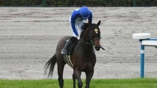 【みやこS予想】下半期のダート王者を目指す砂巧者が集結