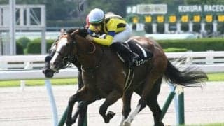 【AR共和国杯予想】タフな舞台で行われるハンデ戦