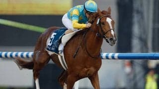 【米・BCクラシック結果】ホワイトアバリオが優勝！デルマソトガケが2着に健闘