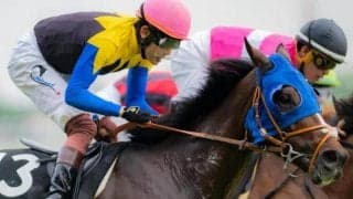 【アルゼンチン共和国杯】母の父ロベルト系が好成績 チャックネイトを狙い撃ち