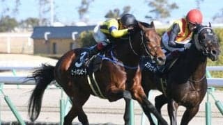 【AR共和国杯予想】人気7頭ボックスでも回収率はプラス!? 過去データから見えてくる意外なレース傾向