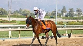 【BCターフ】キーファーズ所有 ブルームは11着敗退…オーギュストロダンがV