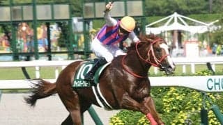 【米・BCターフスプリント結果】ノーボールズが優勝！ ジャスパークローネは後方で入線