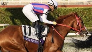 【BCターフスプリント】川田将雅騎乗、ジャスパークローネは最下位