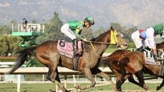 【BCクラシック】ウシュバテソーロは直線伸びきれず5着敗退