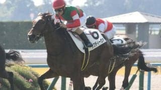 【京都4R新馬戦結果】ダイワメジャー産駒ラブディーヴァが2番手から抜け出しV