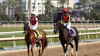 【BCマイル】鹿戸師「自分の競馬は出来た」ウインカーネリアンは11着敗退