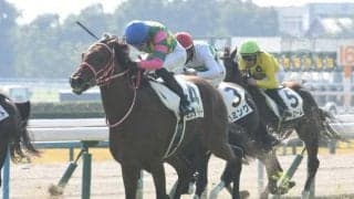 【京都5R新馬戦結果】ドゥラメンテ産駒ミスタージーティーが差し切りV！