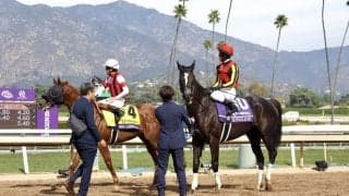 【BCマイル】林師「戸崎騎手も上手く乗ってくれた」ソングラインは5着まで