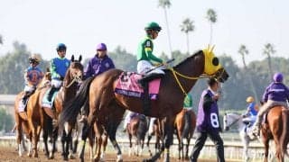 【BCクラシック】高木師「タフな馬場」ウシュバテソーロは5着敗退