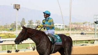 【BCクラシック】音無師「ここの馬場合っている」デルマソトガケは2着…世界の頂点まであと一歩