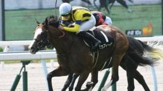 【アルゼンチン共和国杯・馬体重】ゼッフィーロは470kg(-2)、チャックネイトは478kg(-4)