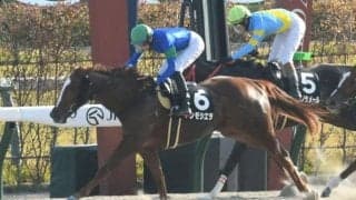 【もちの木賞結果】5番人気アンモシエラが押し切り2連勝